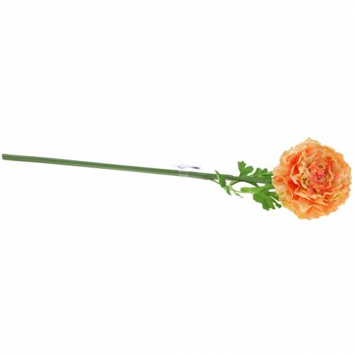 tételeket Ranunculus lazac H45cm