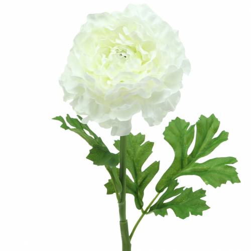 Ranunculus fehér H45cm