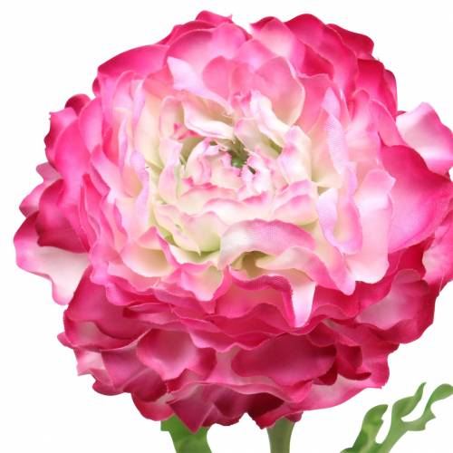Floristik24 Ranunculus rózsaszín mű 48cm