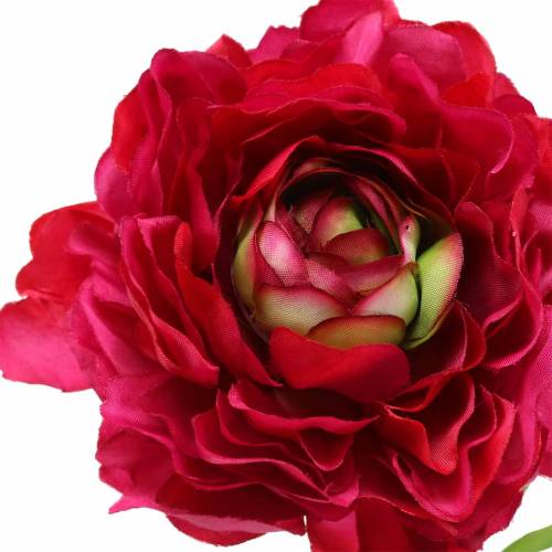 tételeket Ranunculus sötét rózsaszín mű 51cm