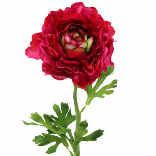 Floristik24 Ranunculus sötét rózsaszín mű 51cm
