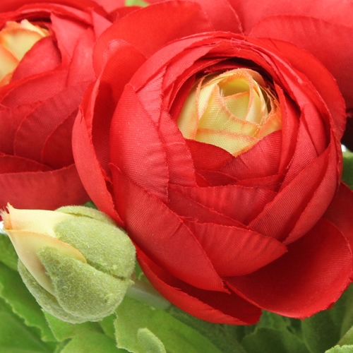 tételeket Ranunculus csokor piros 30cm