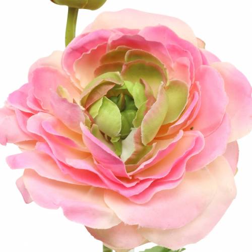 Floristik24 Ranunculus virág és bimbó műrózsaszín 34cm