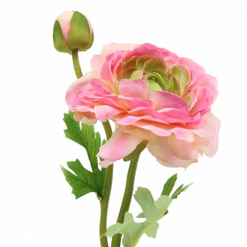 Floristik24 Ranunculus virág és bimbó műrózsaszín 34cm