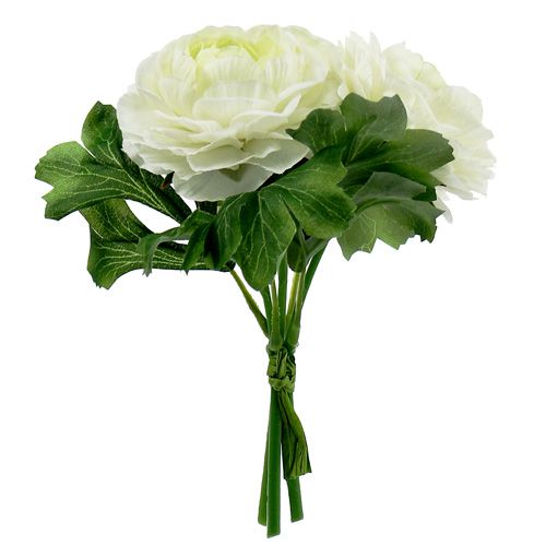Floristik24 Ranunculus csokor fehér L18cm