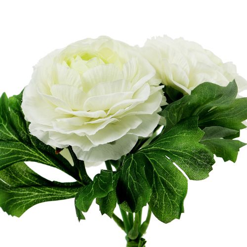 Floristik24 Ranunculus csokor fehér L18cm
