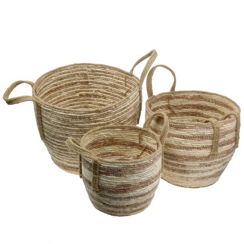 Floristik24 Rattan kosár natúr / barna Ø40 / 32 / 26cm 3db