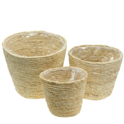 Floristik24 Növénykosár rattan natúr Ø26/22/16cm 3db