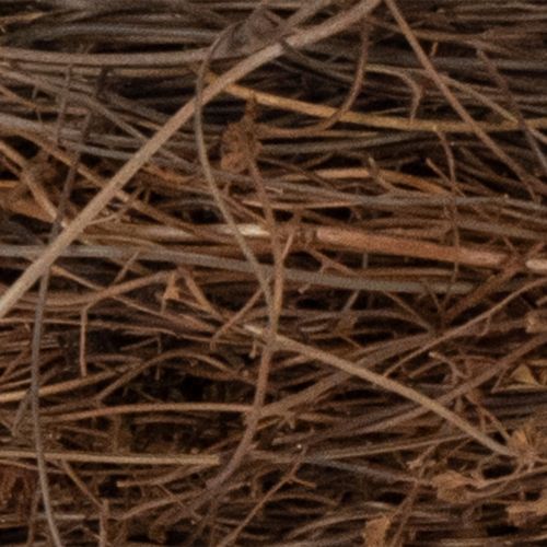 tételeket Természetes szőlőtőke koszorú Ø15cm, 10 darabos készlet - Ideális őszi, karácsonyi, húsvéti és temetési dekorációkhoz