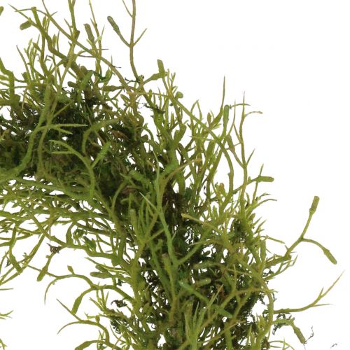 Floristik24 Tavaszi koszorú mohazölddel Ø30cm