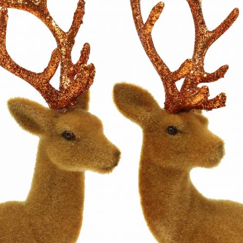 Floristik24 Rénszarvas állományú curry, réz 20cm 2db