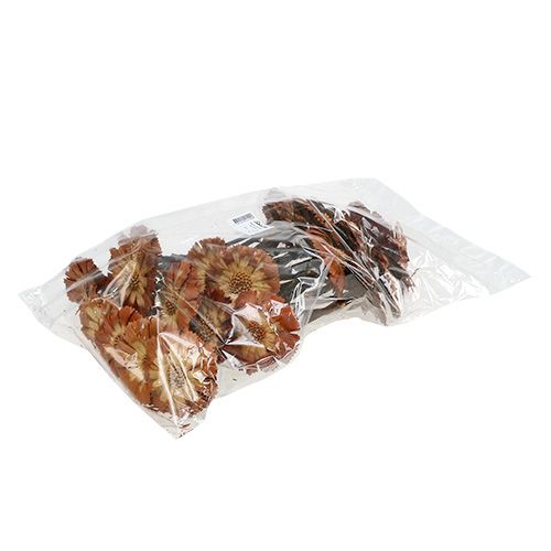 tételeket Repens Rosette Light 8-9cm 25 db