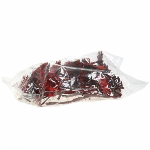 Repens Rosette Red 8cm - 9cm 25 db | Floristik24.hu