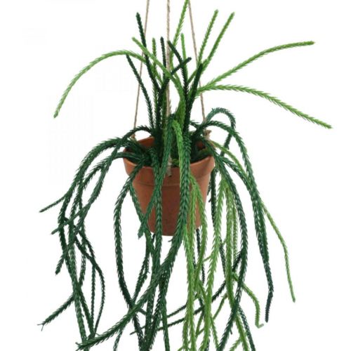 Floristik24 Rhipsalis mesterséges korallkaktusz függőkosár H87cm