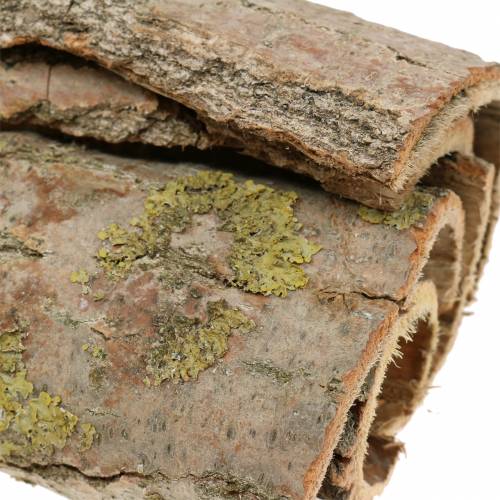 Floristik24 Fakéreg kézműves természethez 13cm 1kg