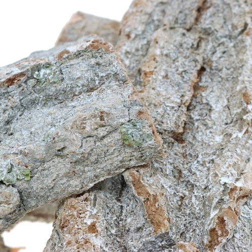 Floristik24 Kézműves kéreg Fehér mosott 13cm 1kg