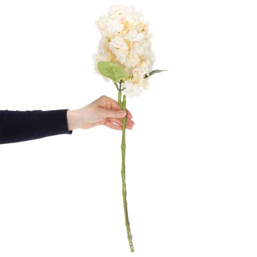 tételeket Műhortenzia virág, kiváló minőségű, dekoratív lakóterekbe, 62cm