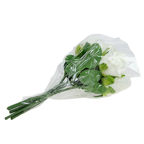 Floristik24 Rózsa fehér Ø6cm L30cm 6db