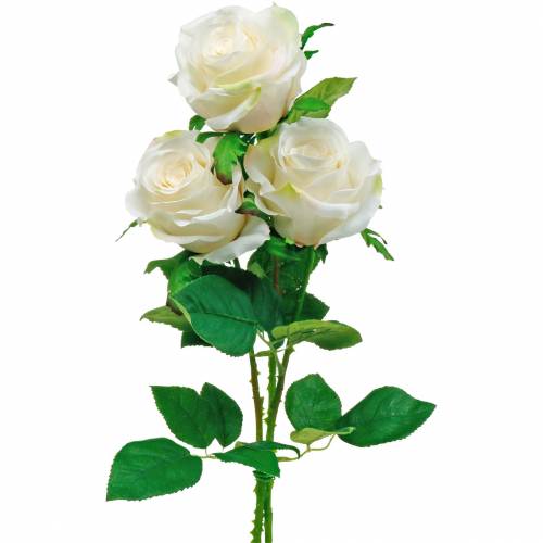 Floristik24 Fehér rózsa száron selyemvirág Műrózsa 3db