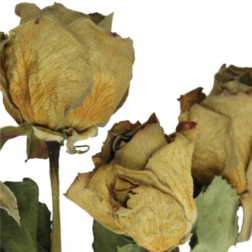 tételeket Szárított virág rózsa, Valentin-nap, szárított virágkötő, rusztikus dekoratív rózsák sárga-lila L45-50cm 5db