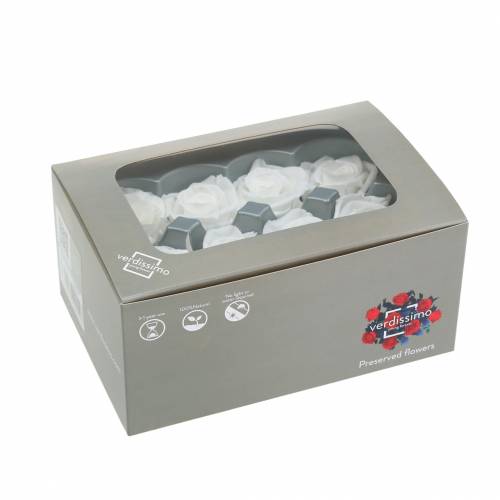 tételeket Tartósított rózsa közepes Ø4-4,5cm fehér 8 db