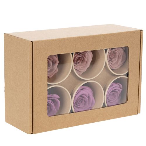 tételeket Tartósított rózsafejek, romantikus ajándék, tartós rózsák különleges alkalmakra, 5 cm, 6 darab