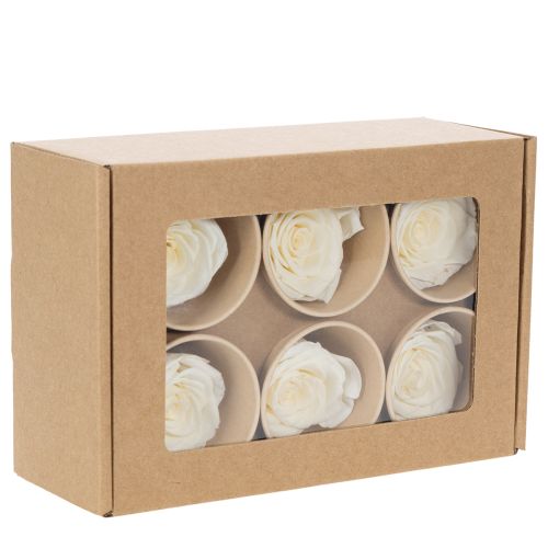 tételeket Tartósított Rózsafejek, Tartós Asztaldísz Romantikus Hangulathoz, Esküvői Dekoráció, 5cm, 6 Darab