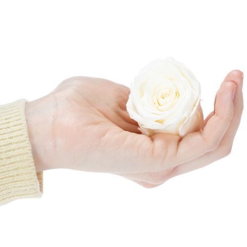 tételeket Tartósított Rózsafejek, Tartós Asztaldísz Romantikus Hangulathoz, Esküvői Dekoráció, 5cm, 6 Darab