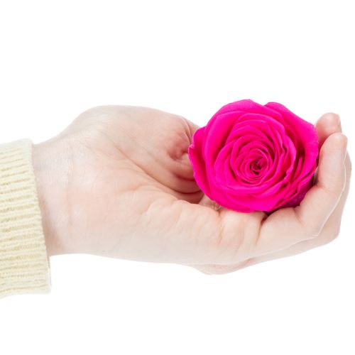 tételeket Tartósított Rózsadekorációk, Valódi Virágok Asztaldíszítésre, Egyedi és Fenntartható Virágok, 5 cm, 6 Darab