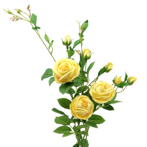 Rózsaág sárga 100cm