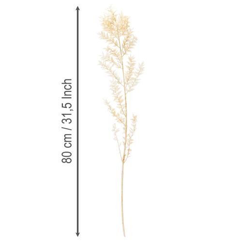 Szárított ruscus díszág, fehérített ruscus, 200g | Floristik24.hu