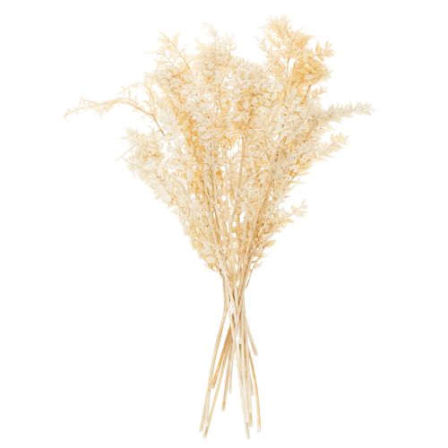 Szárított ruscus díszág, fehérített ruscus, 200g | Floristik24.hu