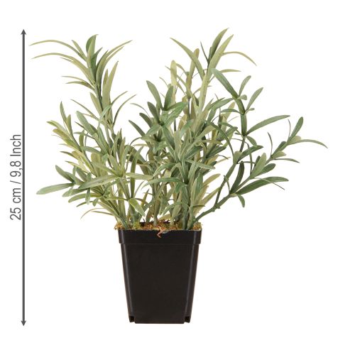 tételeket Zsálya cserépben Salvia Lavandulifolia Artificial H25cm