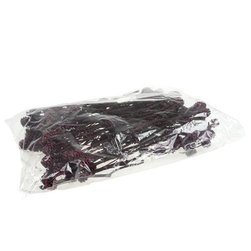 Floristik24 Salignum ágak tobozokkal Bogyó 25 db