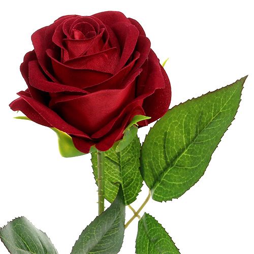 tételeket Bársony rózsa piros 65cm 6db