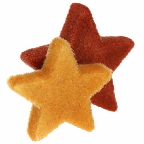 Floristik24 Scatter dekoráció csillagkeverék flokált curry, rooibos 4cm/5cm 40 db
