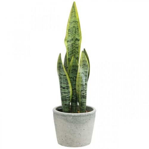 Floristik24 Mesterséges masnikender, zöld növény cserépben, Sansevieria H39cm Ø12cm