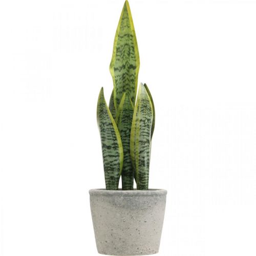 Floristik24 Mesterséges masnikender, zöld növény cserépben, Sansevieria H39cm Ø12cm