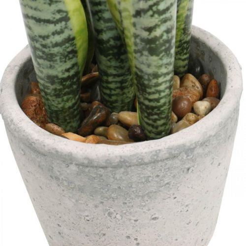 Floristik24 Mesterséges masnikender, zöld növény cserépben, Sansevieria H39cm Ø12cm