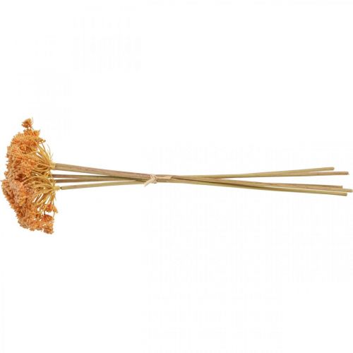 tételeket Cickafark művirág narancssárga 50cm 5db csokorban