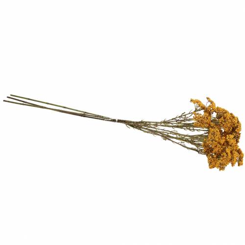 Floristik24 Cickafark műsárga 74cm 3db