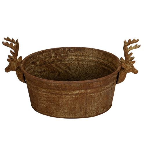 Dekoratív tál, rénszarvasfej, ovális, rozsdaszínű, rusztikus, 41cm | Floristik24.hu