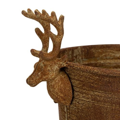 Dekoratív tál, rénszarvasfej, ovális, rozsdaszínű, rusztikus, 41cm | Floristik24.hu