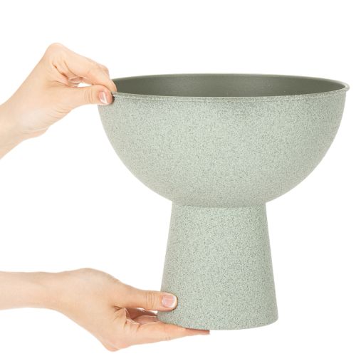 Tál növénytartóval, dísztál, 25cm | Floristik24.hu