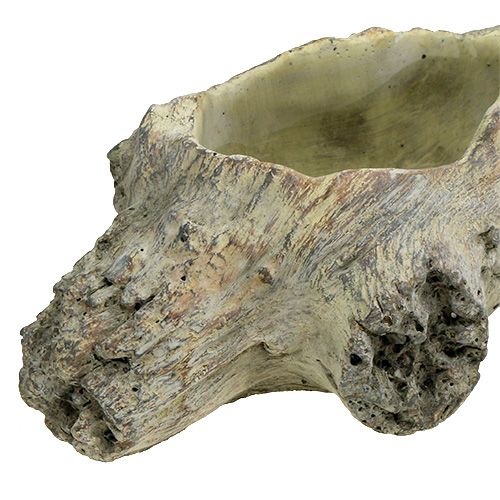 Floristik24 Ültetési tál 30cm x 13cm H8,5cm