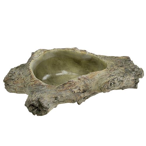 Floristik24 Ültetési tál 30cm x 13cm H8,5cm