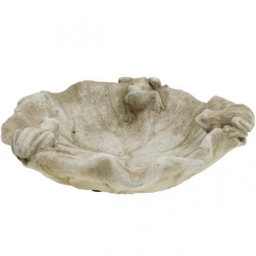 Floristik24 Madárfürdő békával, beton kerti figurával, madárfürdő lótuszlevél SZ21cm H7cm