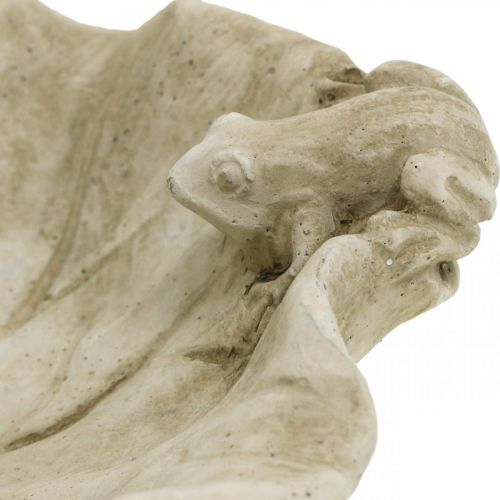 tételeket Madárfürdő békával, beton kerti figurával, madárfürdő lótuszlevél SZ21cm H7cm