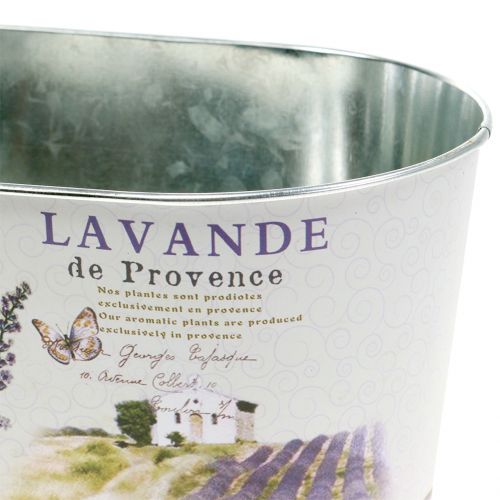Floristik24 Levendula ovális növénytál 22,5cm x 13,5cm H11cm