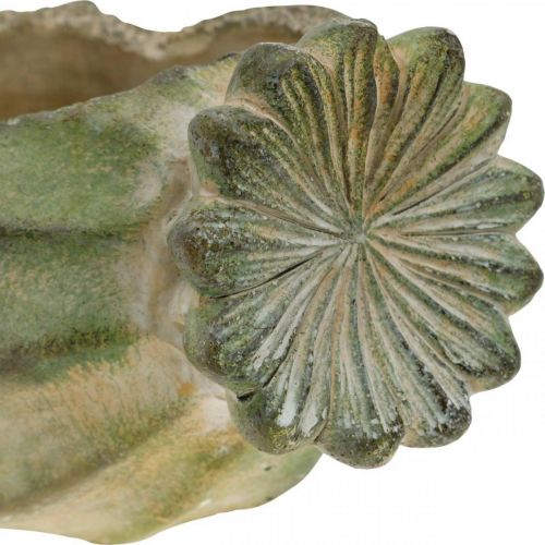 Floristik24 Dekoratív mákkapszula, betonültető, cachepot, sírdísz L26cm